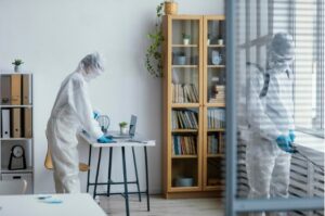 Creating a Pest-Free Home: Effective Strategies for Keeping Unwanted Visitors at Bay