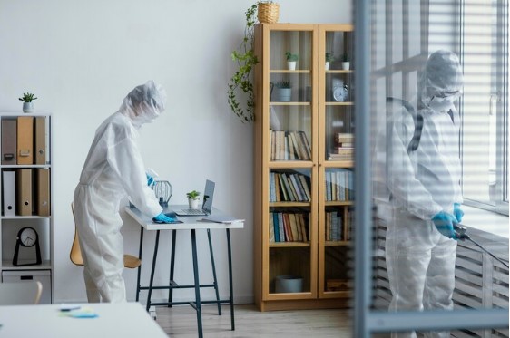 Creating a Pest-Free Home: Effective Strategies for Keeping Unwanted Visitors at Bay
